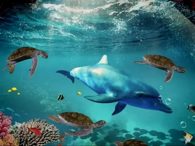 สถานที่ท่องเที่ยวที่ดีในชิงเต่าสำหรับครอบครัว - โลกใต้ทะเลชิงเต่า