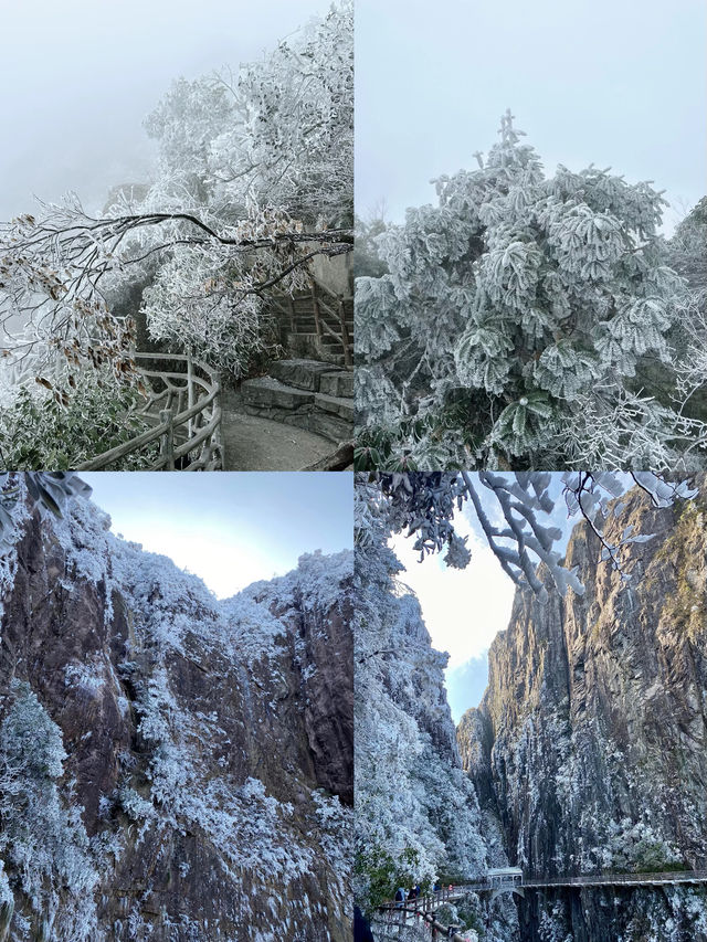 湖南郴州|不來後悔廣東最佳賞霧凇地