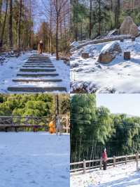 原本以為浙西天池雪景已經夠美了！