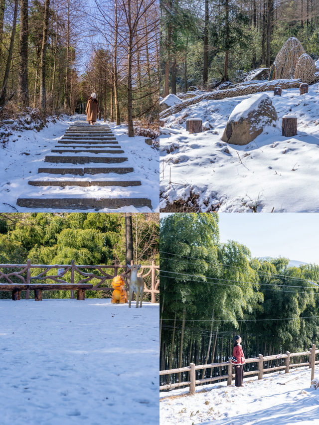 原本以為浙西天池雪景已經夠美了！
