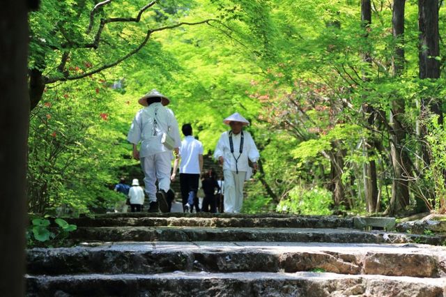 四國島遊記