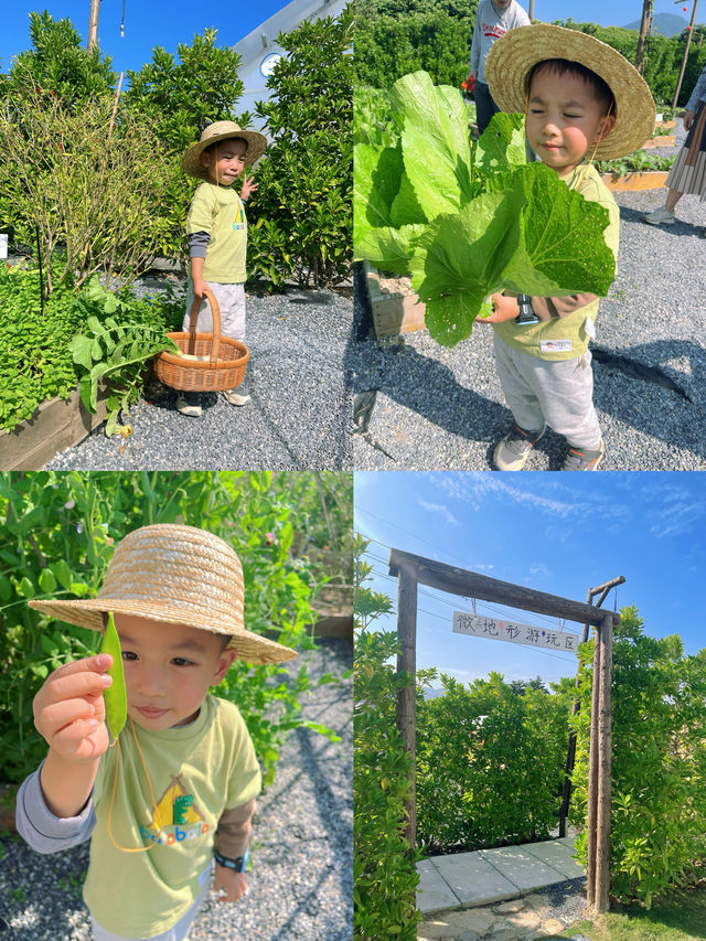 這個帳篷民宿比五星酒店有意思🫢