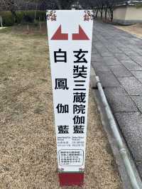 盛唐遺風 藥師寺 『三藏院伽藍』『白鳳伽藍  』