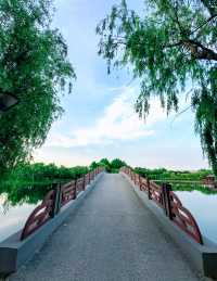 金海濕地公園,這裡不僅僅只有濕地