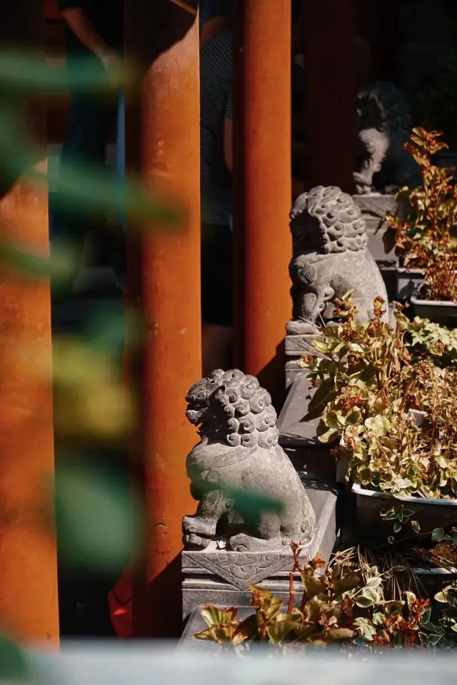 上海小眾寺廟推薦丨法藏講寺