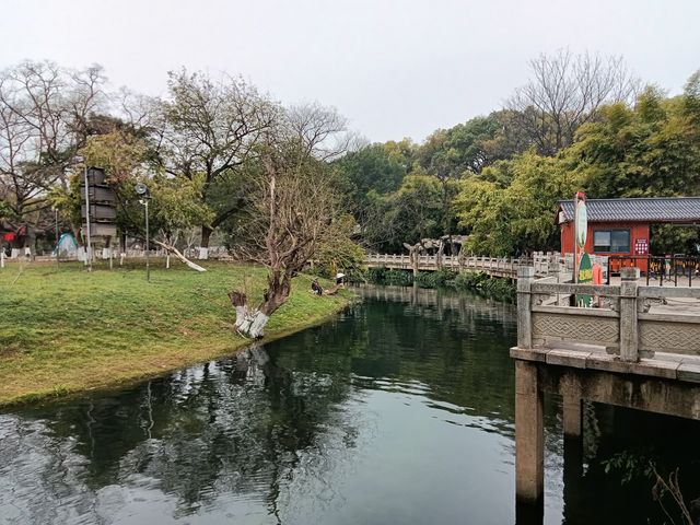 重遊象鼻山