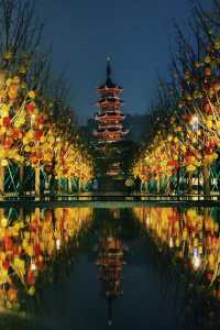 華燈初上，龍華寺的夜景殺瘋了
