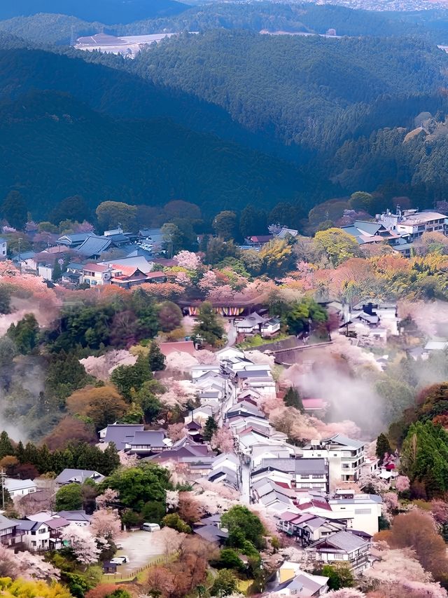 吉野山，三萬株櫻花綻放的浪漫