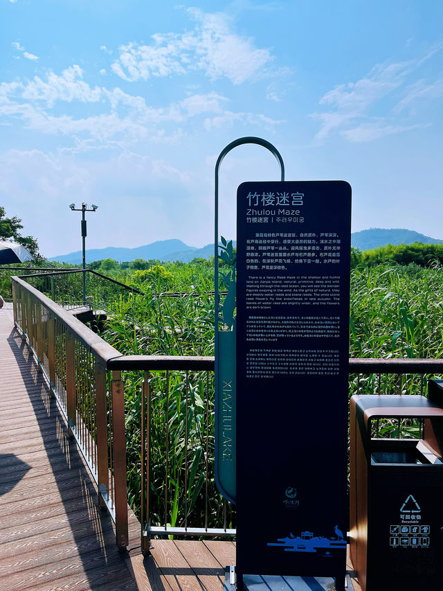 德清旅遊好去處——下渚湖濕地公園