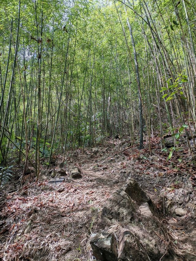 廣西來賓金秀大瑤山五指山頂