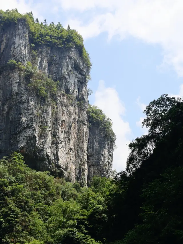 重慶武隆|天生三橋，這也太高了吧！