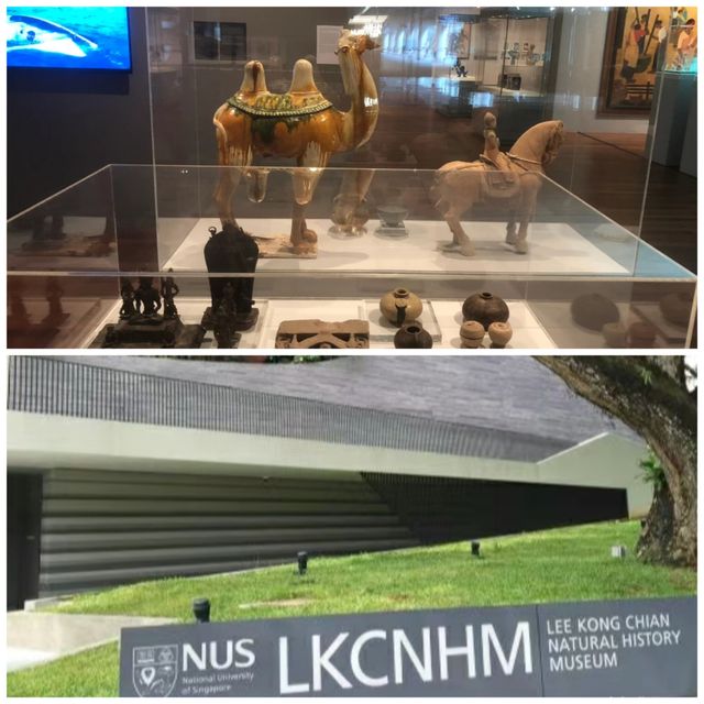 新加坡國立大學｜第一次去的超全攻略
