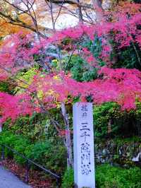 京都小眾秘密庭院三千院～