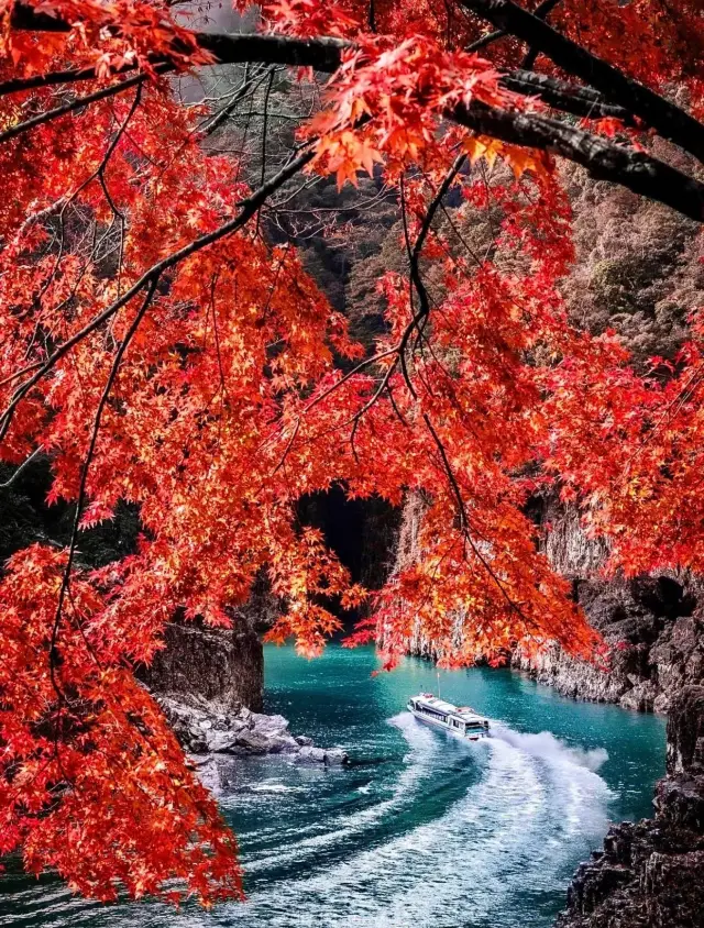 2023 Japan Must-Visit | Autumn Foliage Spots Guide