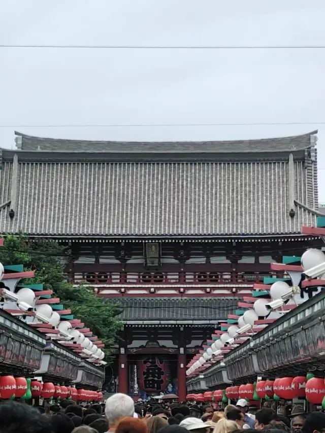 東京一日観光ルート：浅草+上野東京国立博物館