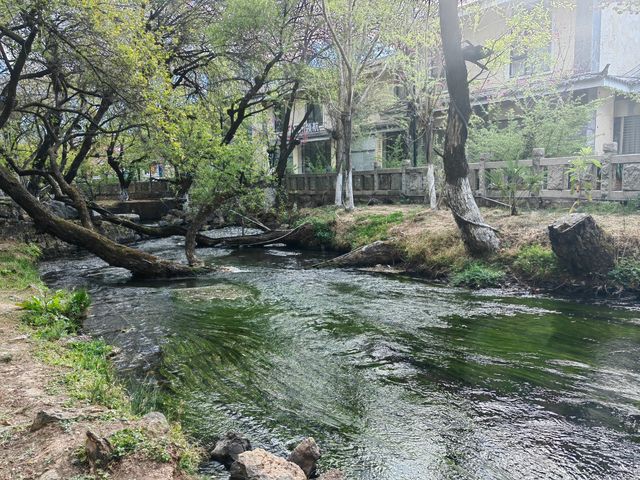 麗江的經典風光明信片：黑龍潭公園