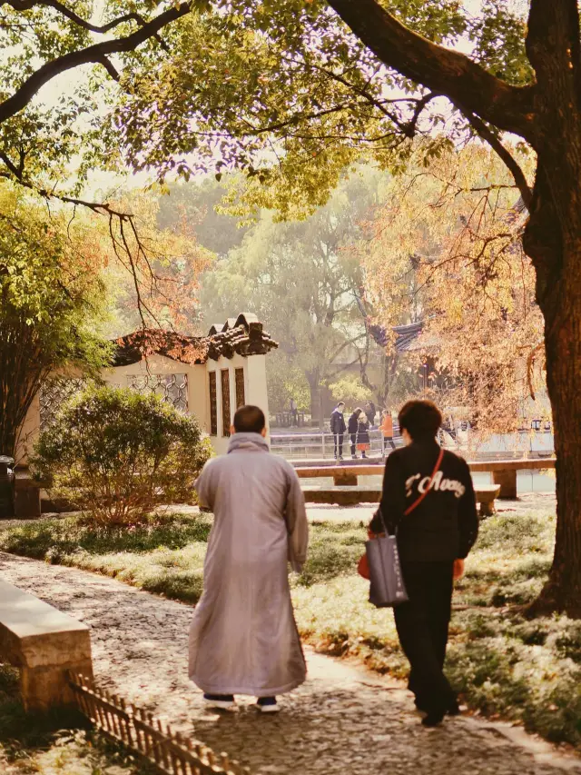 The young people who go to Xiyuan Temple in Suzhou to burn incense and pet cats