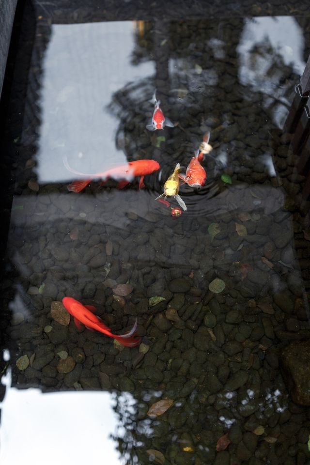 春日的南塘老街 | 閱居·平靜·寧和