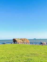 在青島！去了比小麥島更美的海之戀公園