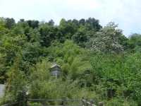 山中有靈泉——登高雲山·雲釋山泉