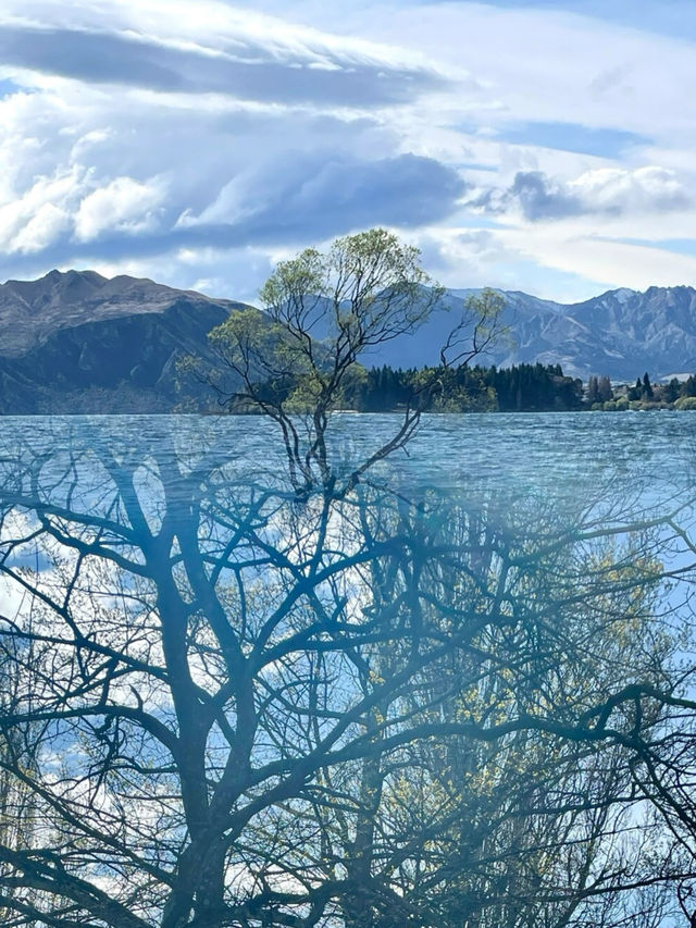 新西蘭旅遊最受歡迎的個景點人間仙境