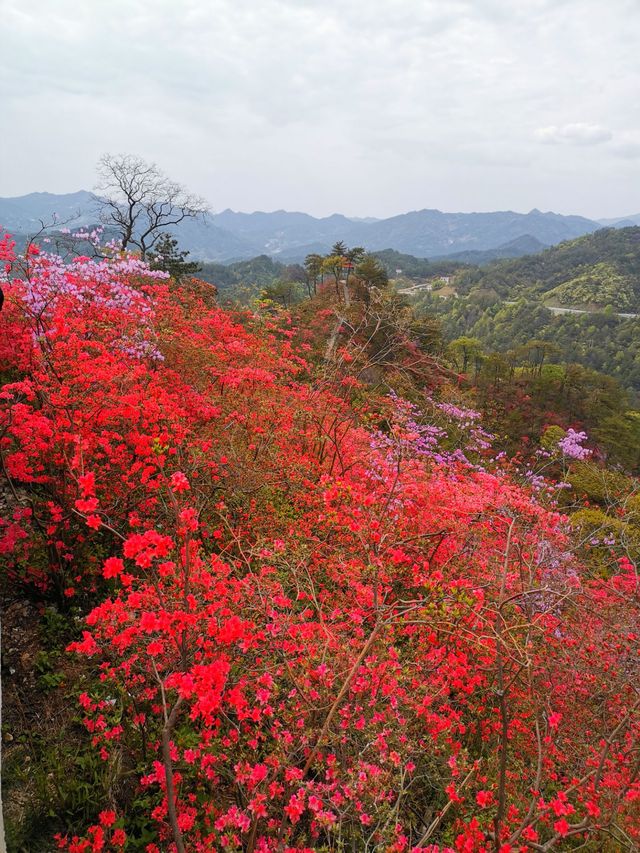 春滿天峽