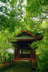 成都1h|打卡這個冷門江南園林式古風公園，值！