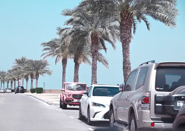 Dubai can also be explored on a budget by self-driving