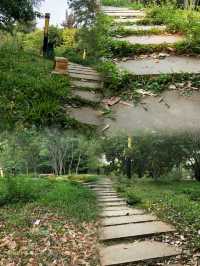 徐聞人民公園最全攻略