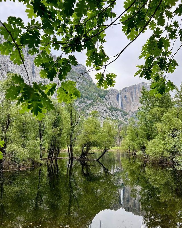 約塞米蒂山谷探索指南