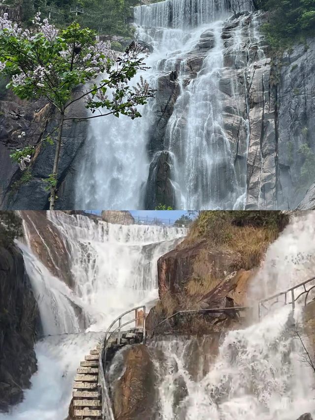 天台山之旅：交通、住宿與完美行程全攻略
