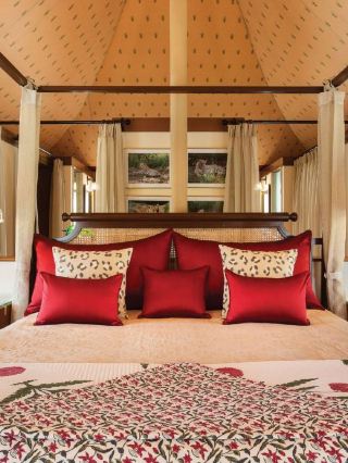 🌟 Luxe Oasis in Chandigarh: Top Hotel Picks 🌟