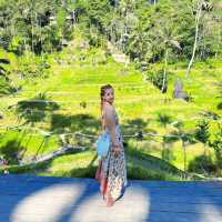  Bali Swing to Rice Trails 🌾 