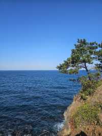 人均2K玩轉濟州島|濟州島值得一看！！！。