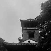 春天打卡東莞可園