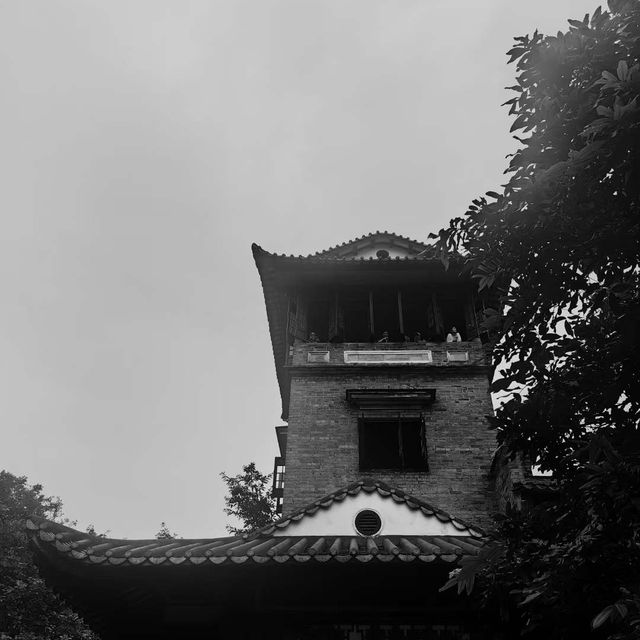 春天打卡東莞可園