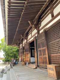 水稻田間，遙看藥師寺