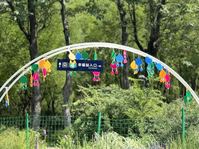 濟南森林公園