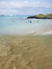 阿約拉港海龜灣海灘那麼美，你確定不去看看嗎？