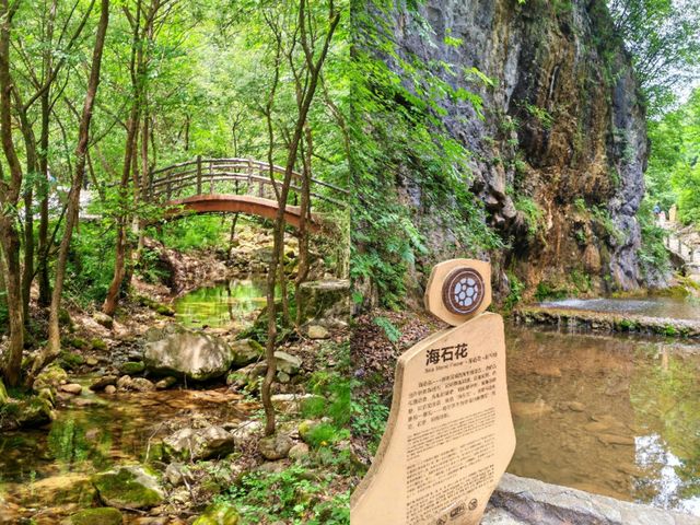 西安周邊旅遊地一江山，如此多嬌！