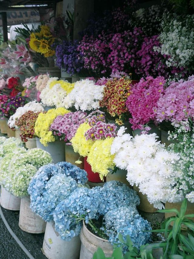🌸 Jakarta's Flower Market: A Blossoming Paradise 🌺