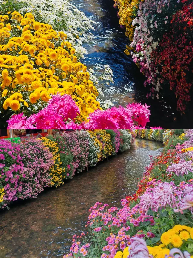 一度来ないと後悔するよ！束河古鎮