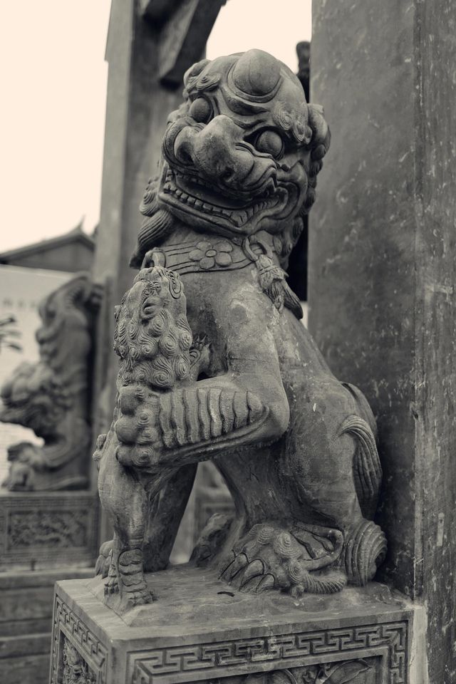 南通旅遊之梧桐古鎮