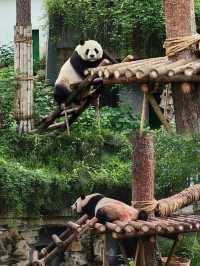 在安吉朋友圈问疯了！都以为我去新疆了|||