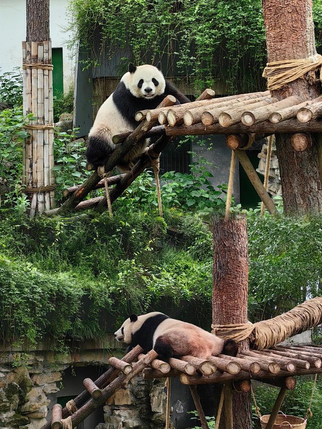 在安吉朋友圈问疯了！都以为我去新疆了|||