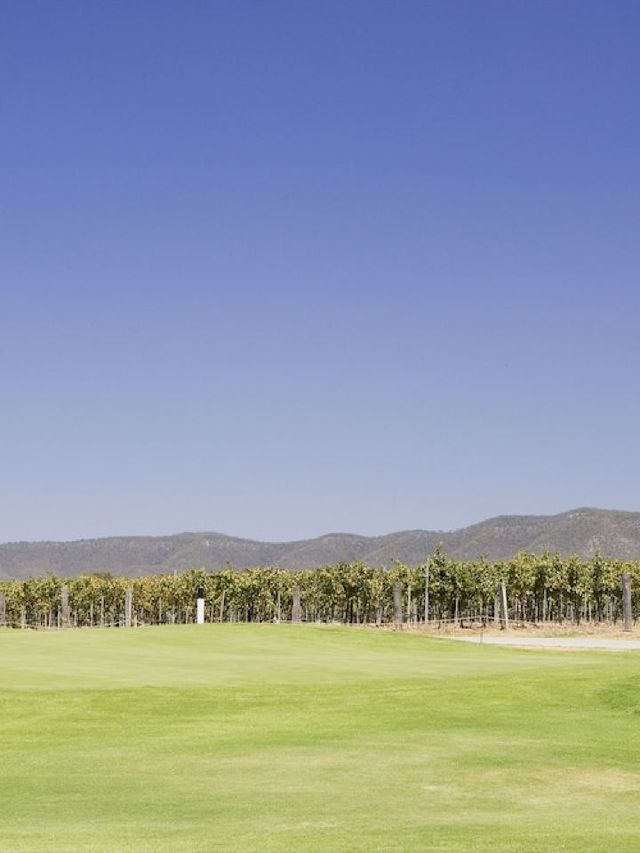🌟 Hunter Valley's Rydges Resort Rundown 🍇