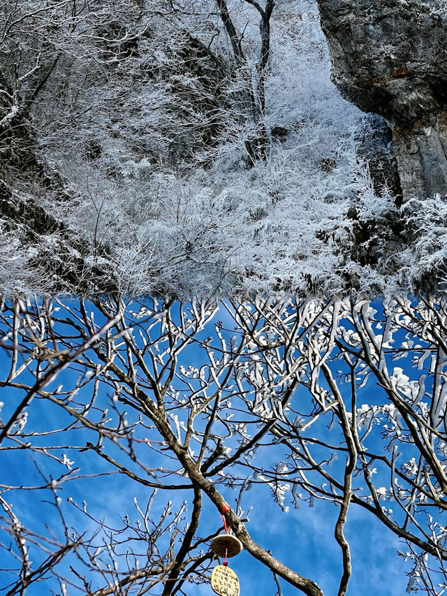 總要去一趟龍頭山吧！！看看雲海，吹吹山頂的風！！