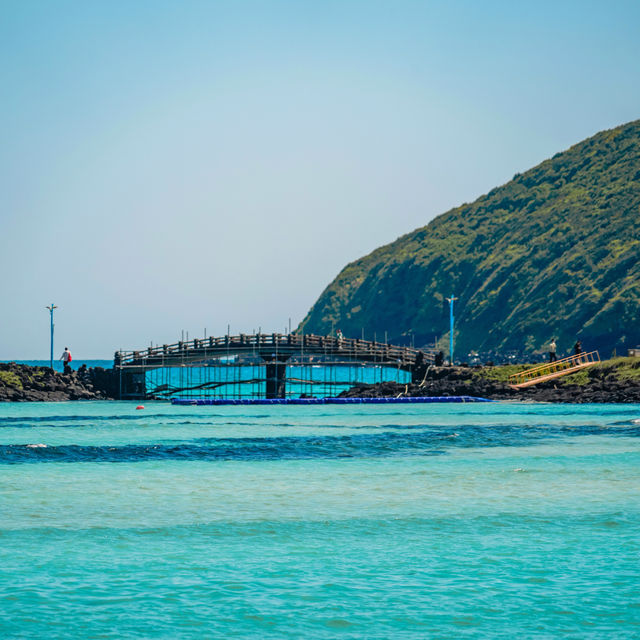 你可以永遠相信鹹德的漫畫風果凍海