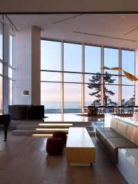 🌊✨ Gangneung's Seamarq Hotel: A Coastal Gem 🏖️🌟