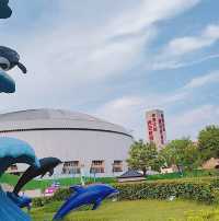 西安華夏文旅水世界：夏日親子遊的完美選擇！